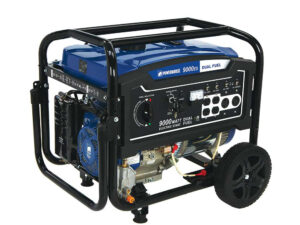 Powerhorse Portable Generator — 9000 Surge Watts, 7250 Rated Watts Electric Start (750133)