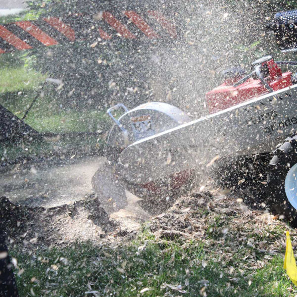 Dosko Stump Grinder (691SP-20HE) - Image 13