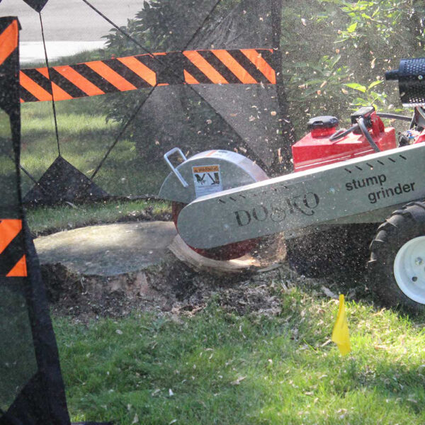 Dosko Stump Grinder (691SP-20HE) - Image 9