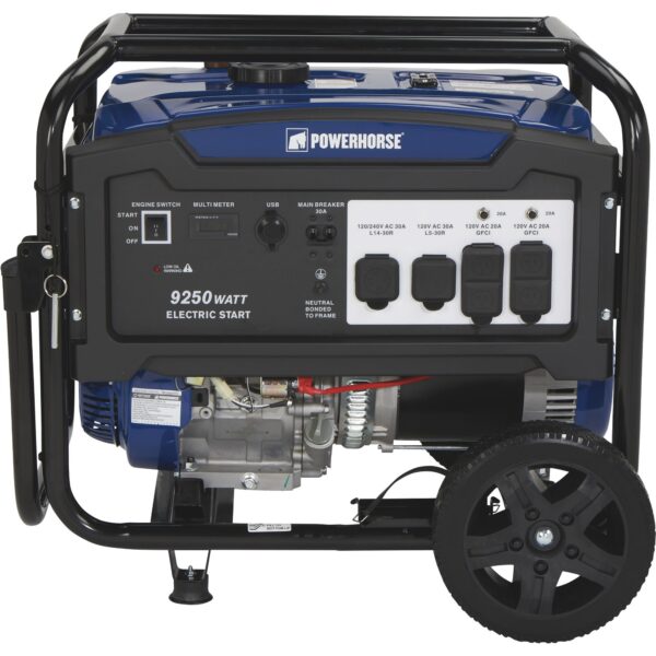 Powerhorse Portable Generator — 9250 Surge Watts, 7500 Rated Watts Electric Start (102222) - Image 5
