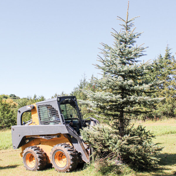 Grey Wolf™ Skid Steer Tree Puller Attachment (1067) - Image 6