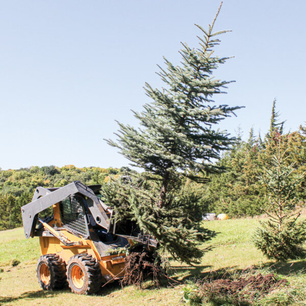 Grey Wolf™ Skid Steer Tree Puller Attachment (1067) - Image 4