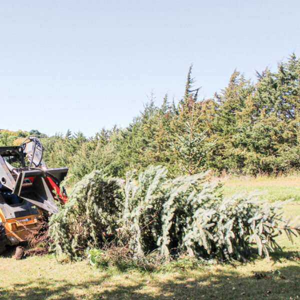 Grey Wolf™ Skid Steer Tree Puller Attachment (1067) - Image 15