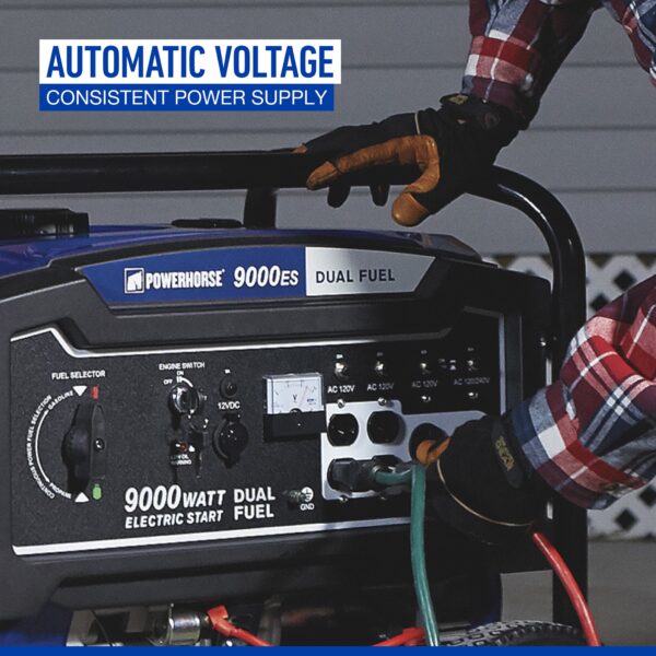 Powerhorse Portable Generator — 9000 Surge Watts, 7250 Rated Watts Electric Start (750133) - Image 6