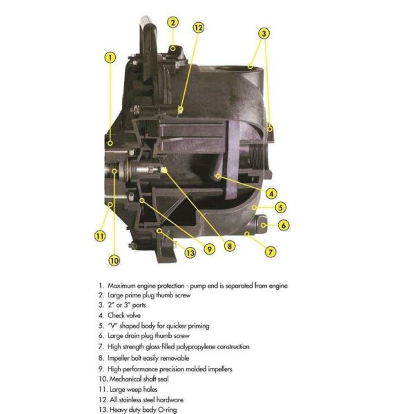 3 Inch Banjo Dewatering Pump Honda GX200 (300PH-6-200E.BAN) - Image 4