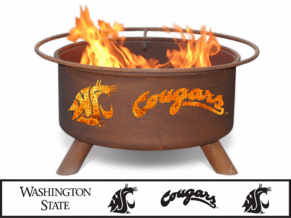 Collegiate Fire Pits - Patina - Image 6